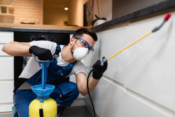 Best Local Pest Control Services  in Oak Ridge, FL