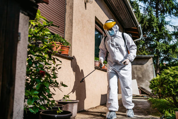 Best Bed Bug Extermination  in Oak Ridge, FL