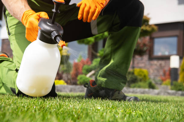 Insect Control in Oak Ridge, FL