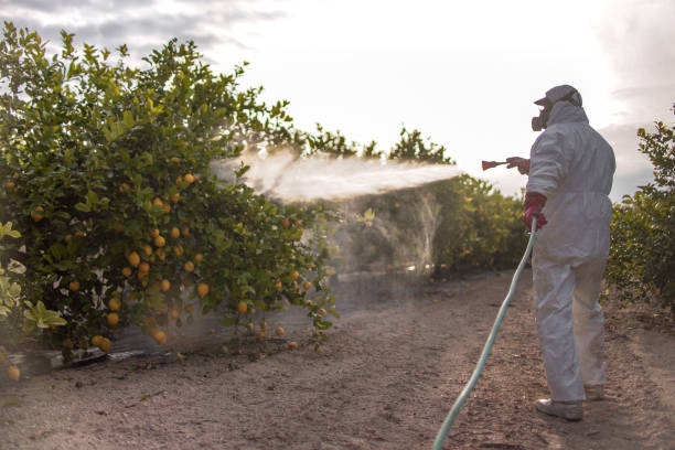 Best Pest Control for Homes  in Oak Ridge, FL